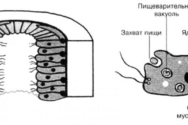 Как попасть на кракен