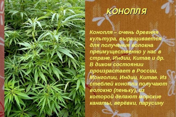 Кракен зеркало сайта vtor run