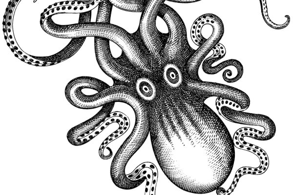 Kraken russia