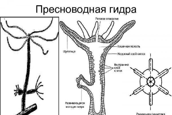 Сайт кракен тор браузера