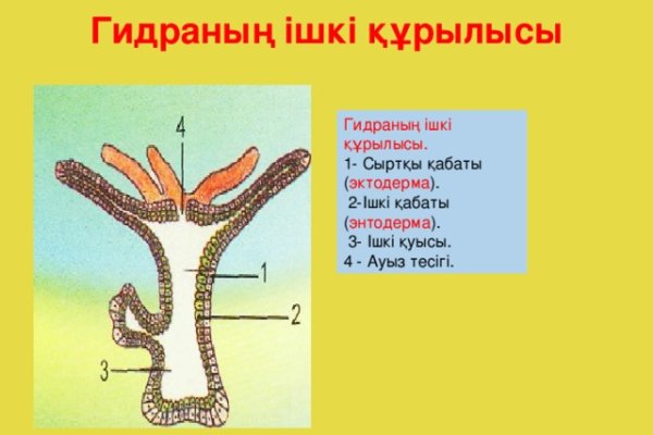 Вход на кракен зеркало